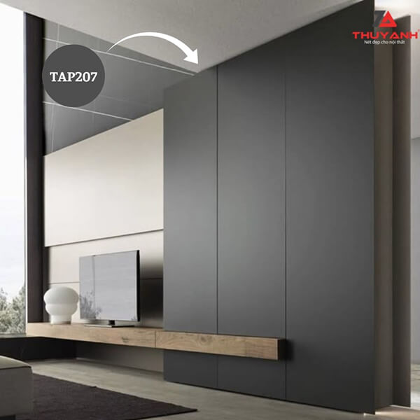 Tủ áo Petg màu đơn sắc 207