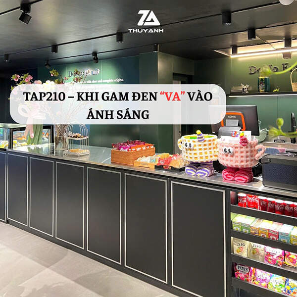 Tủ trưng bày gỗ PETG màu đơn sắc 210