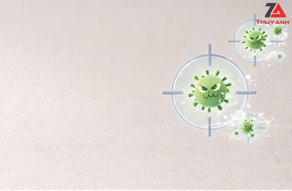 Gỗ PETG không bám vân tay kháng khuẩn