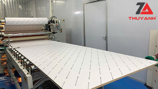 Xưởng sản xuất cánh petg Thùy Anh